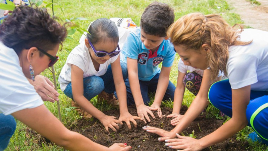Niños sembrando un árbol
