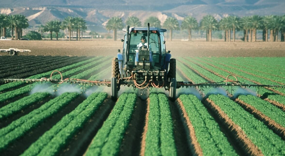 Agricultor centroamericano