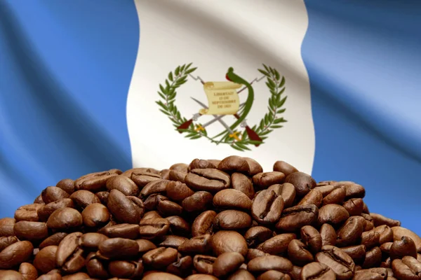 El auge del café guatemalteco variedades