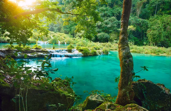 4. Semuc Champey un paraíso escondido